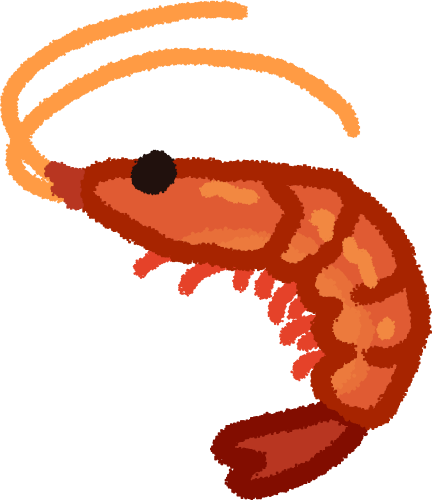 a orange shrimp. it’s in a slight S shape, with the body being orange with a darker orange outline and 4 horizontal lines going down its body, it has a bunch of tiny orange legs, almost centipede like, and a darker orange-red tail fin. it has one big dark brown-black eye and two light orange antennae looking lines coming out from its face and slightly upwards and to the right, forming that top S shape